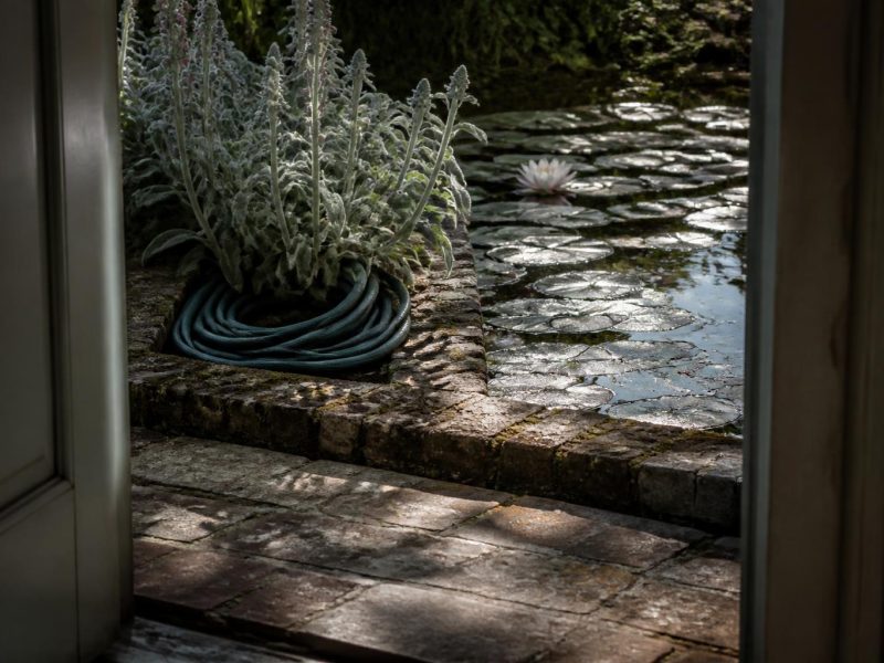 A Practical Guide to Creating and Maintaining a Flourishing Garden Pond